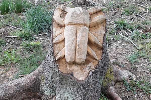 Foto turistického cíle Dřevěné sochy Pytlák