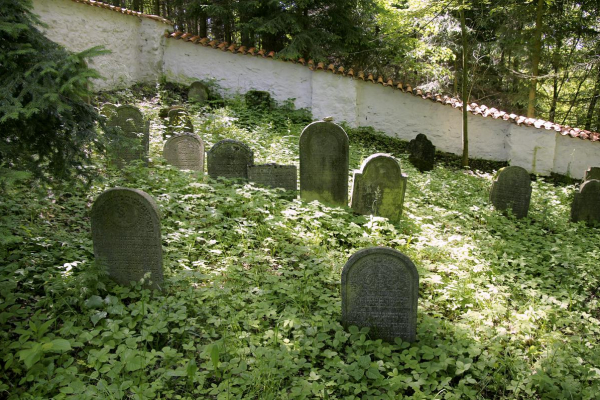 Foto k Židovský hřbitov u Zběšiček