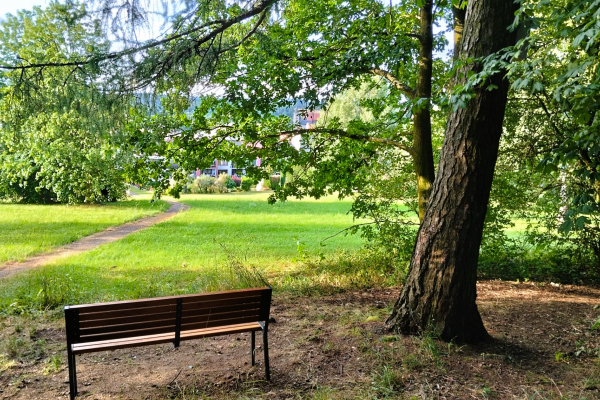 Foto k Naučná stezka Život na Hůreckém lesíku