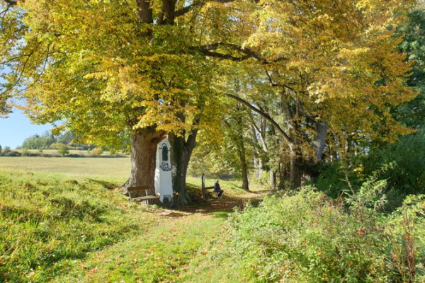 Foto k Stezky do Prčice po celý rok