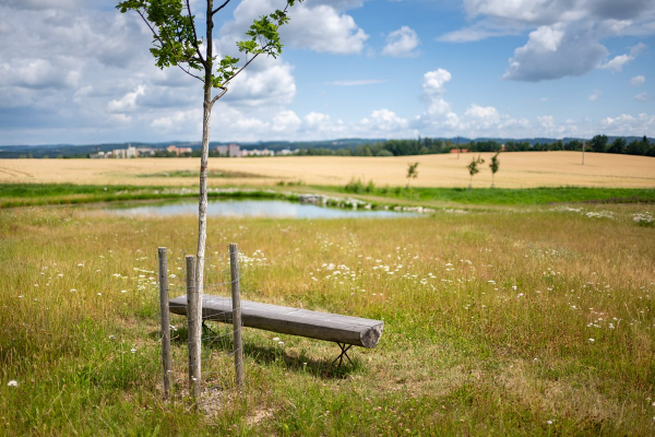 Foto k Revitalizované Údolí pod Lipami 