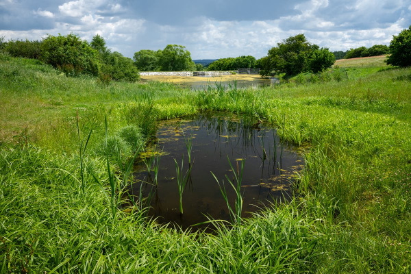 Foto k Revitalizované Údolí pod Lipami 