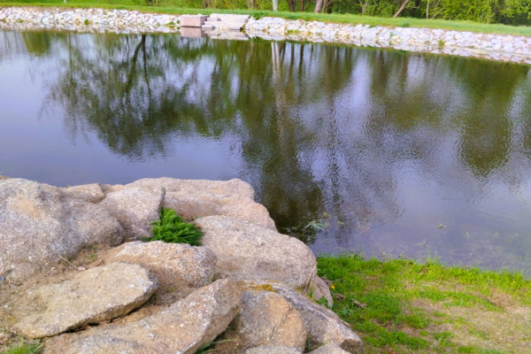 Foto k Revitalizované Údolí pod Lipami 