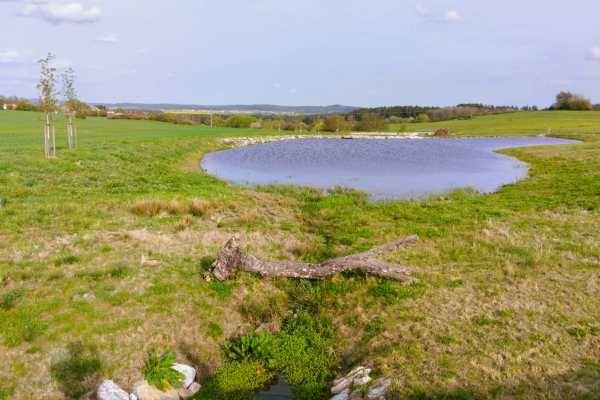 Foto k Revitalizované Údolí pod Lipami 