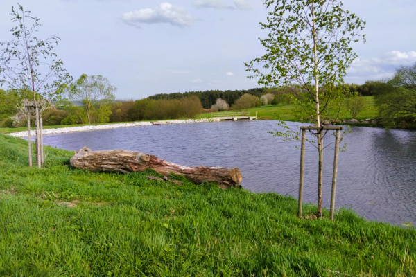 Foto k Revitalizované Údolí pod Lipami 