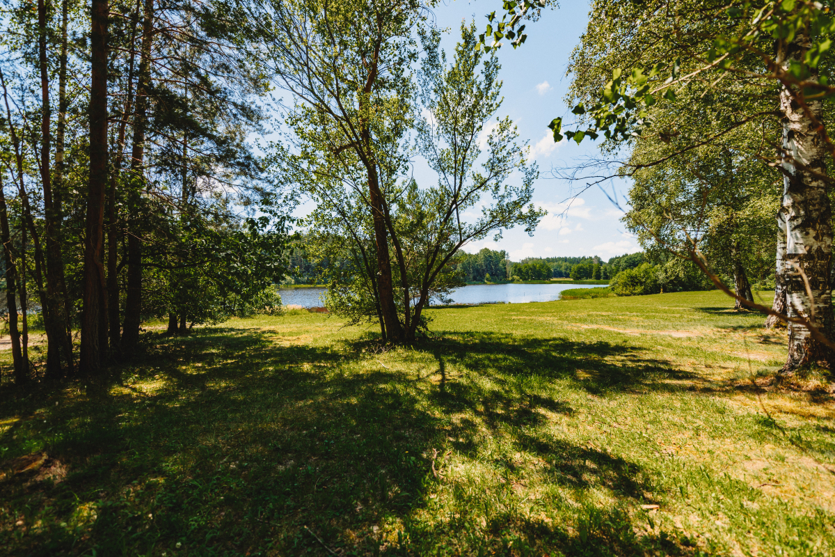 Foto Líšnický rybník u Milevska (Pytlák)