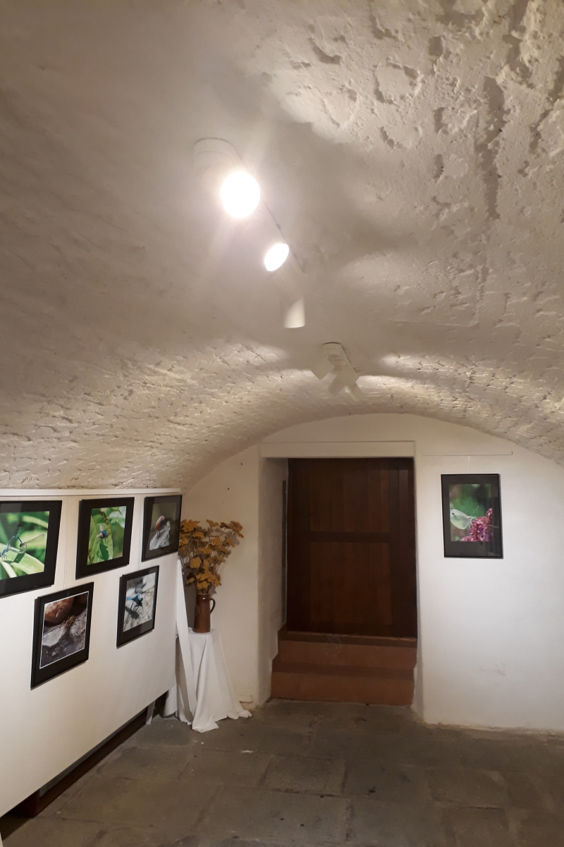 Foto k aktualitě Účelně osvětlené a vybavené prostory Galerie M v Milevsku