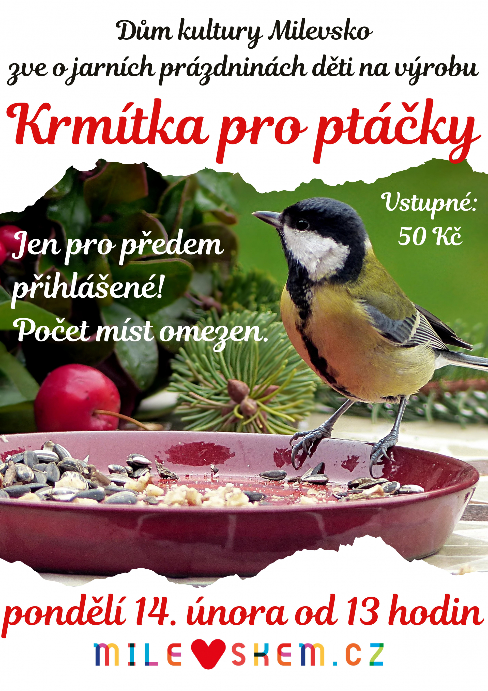 Plakát Výroba krmítka pro ptáčky