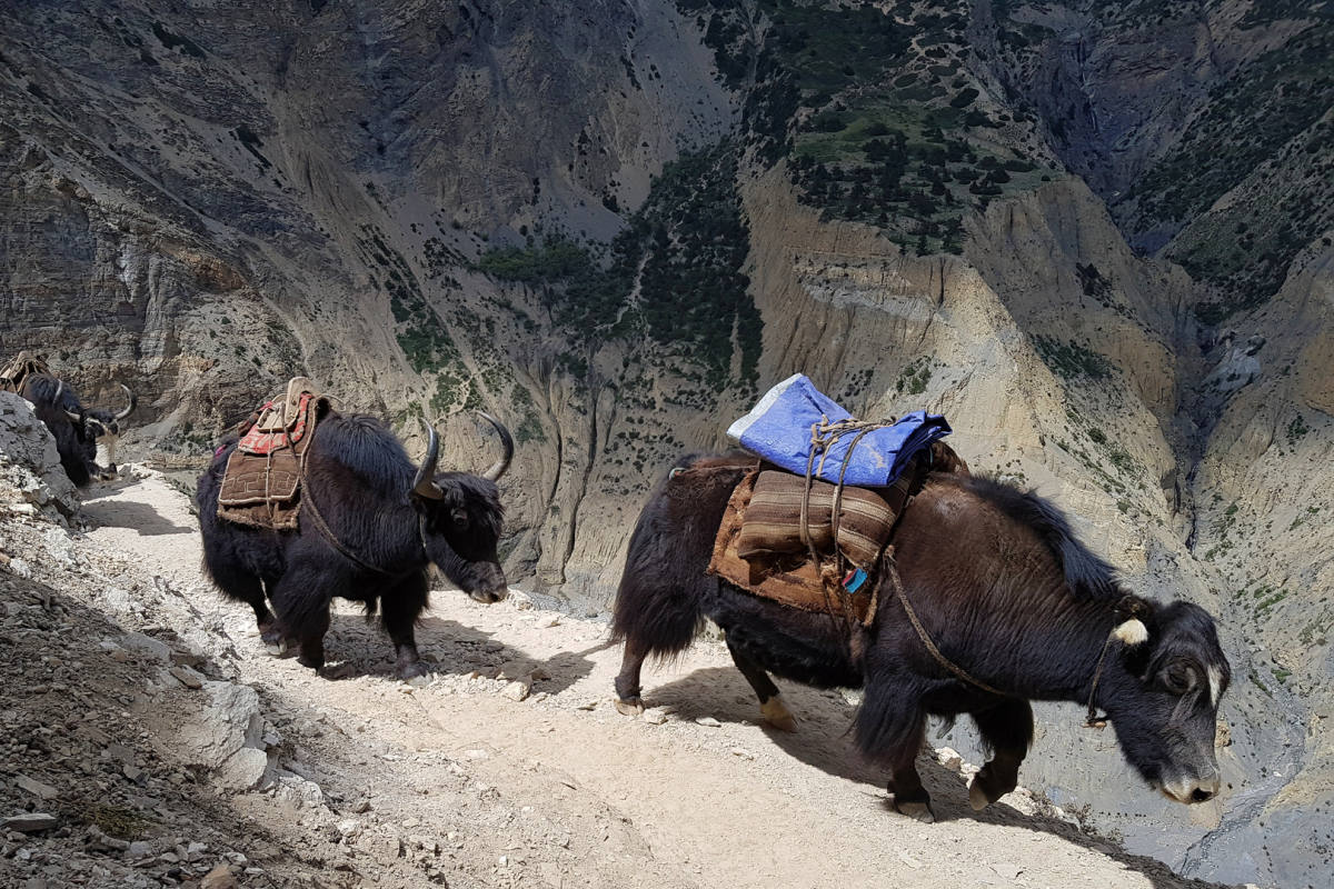 Foto Jiří Kolbaba - Nepál - Himalájské dobrodružství