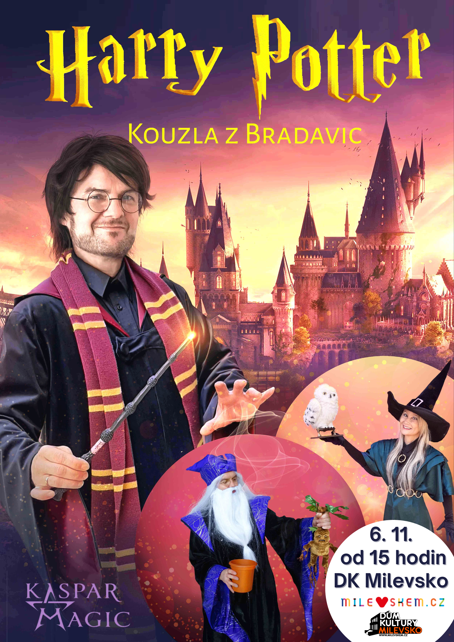 Plakát Harry Potter Show