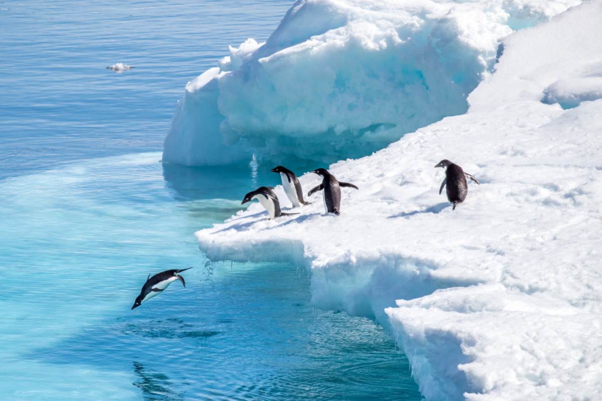 Foto KČT - Antarktida