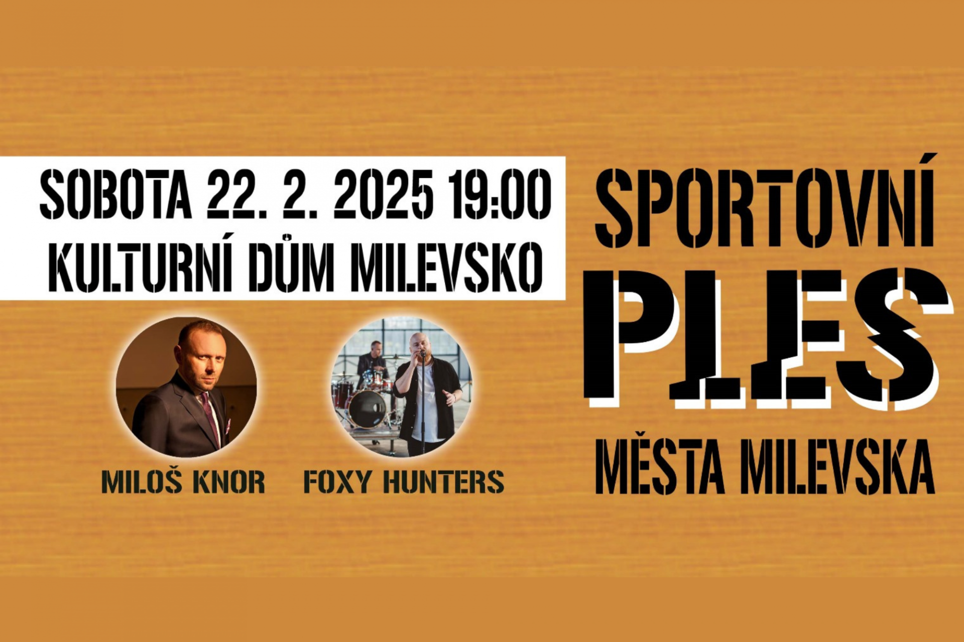 Plakát Sportovní ples města Milevska