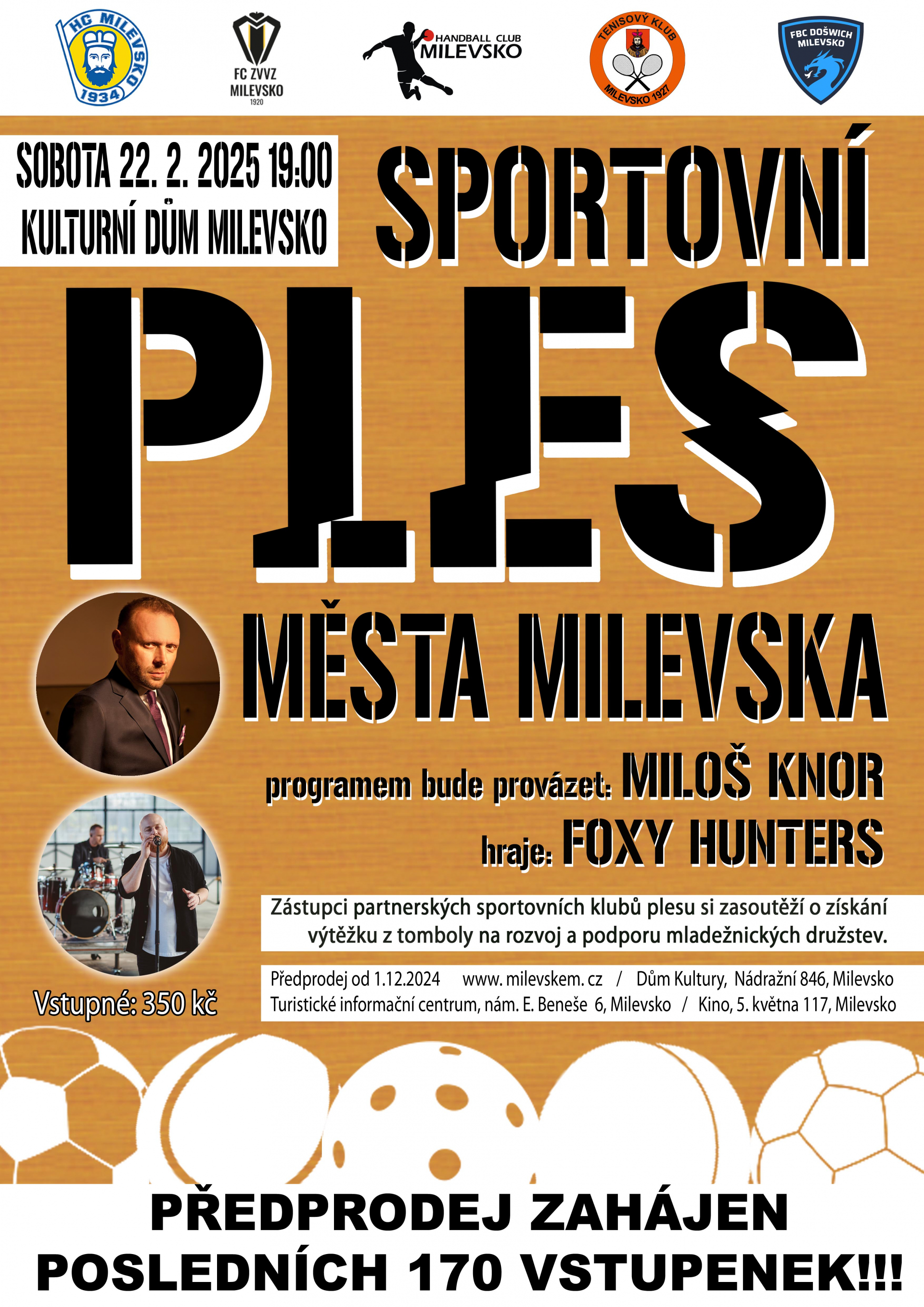 Plakát Sportovní ples města Milevska