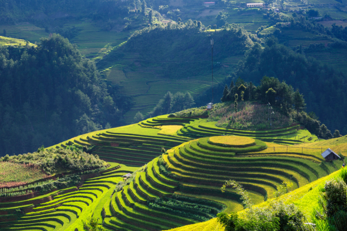 Foto KČT - Severní Vietnam