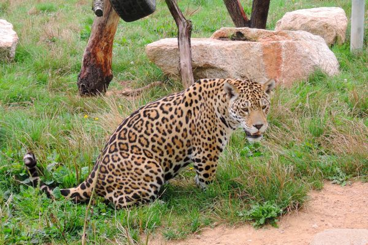 Foto ZOO Tábor