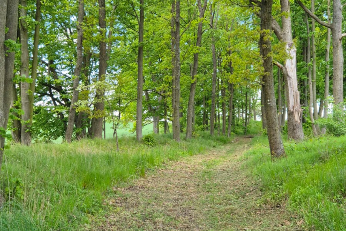 Foto k aktualitě Opět zpřístupněna - Milevská trasa do Prčice 