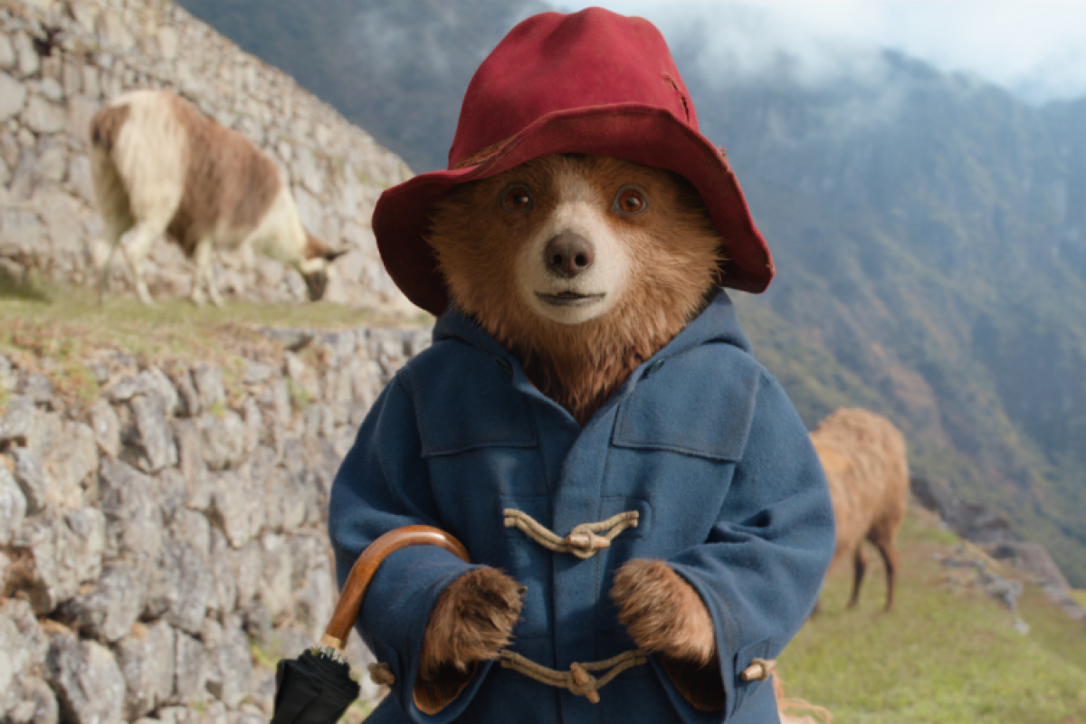 Foto Prázdninová dílna + Paddington v džugli