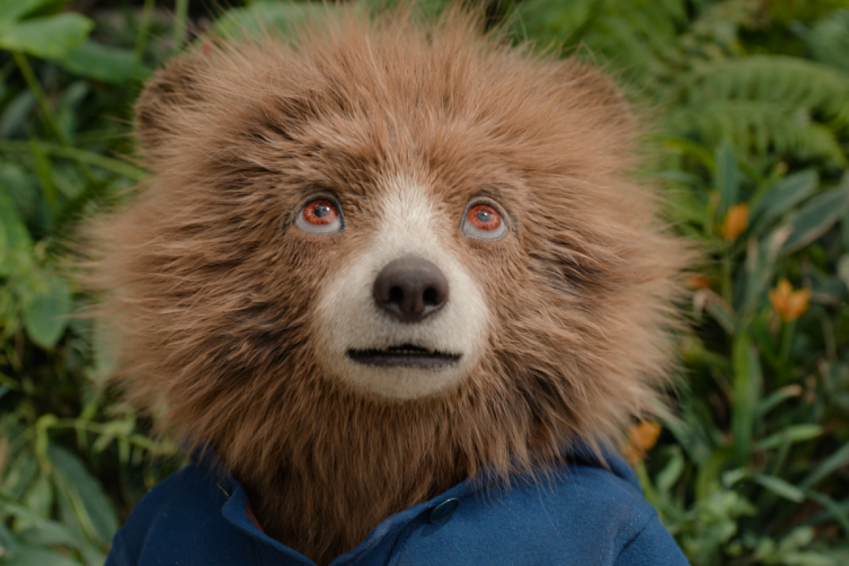 Foto Prázdninová dílna + Paddington v džugli