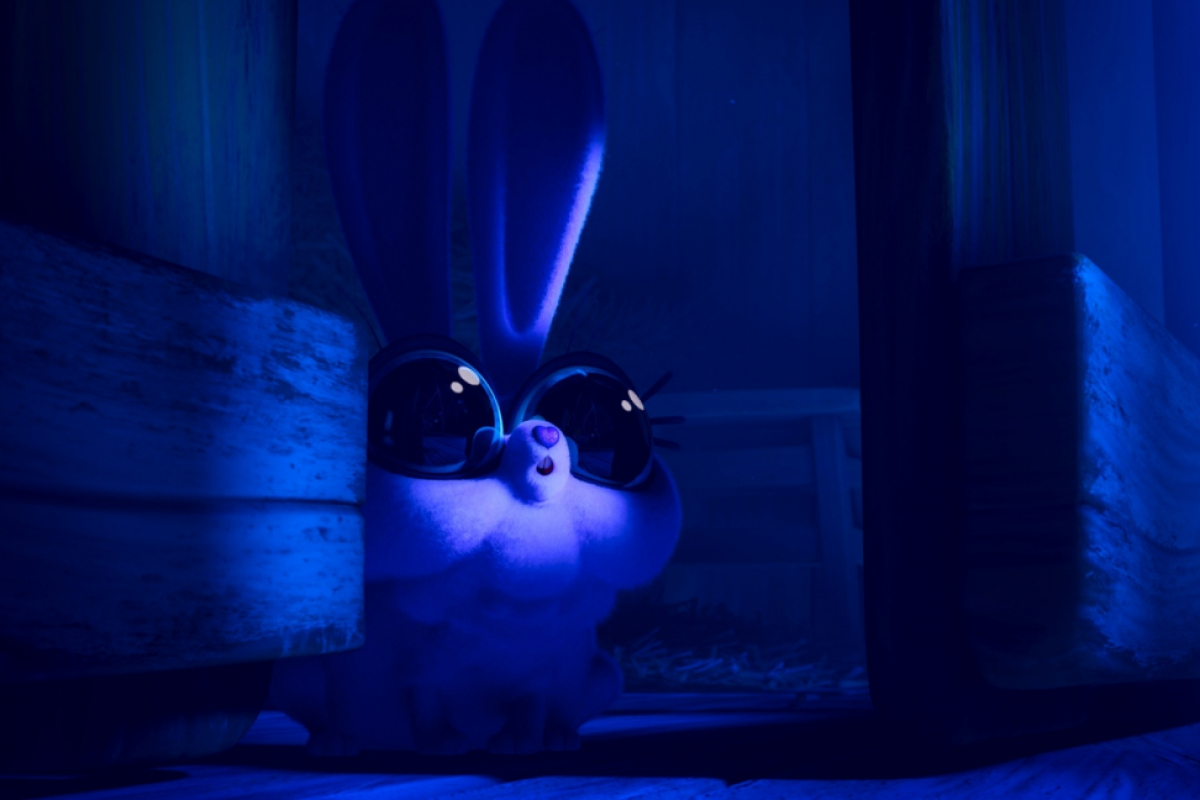 Foto Noc v ZOO: Zombíci na útěku