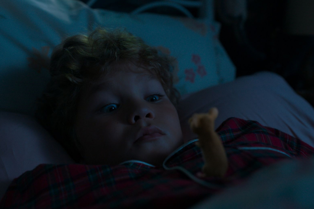 Foto Myši v akci: Vánoční past