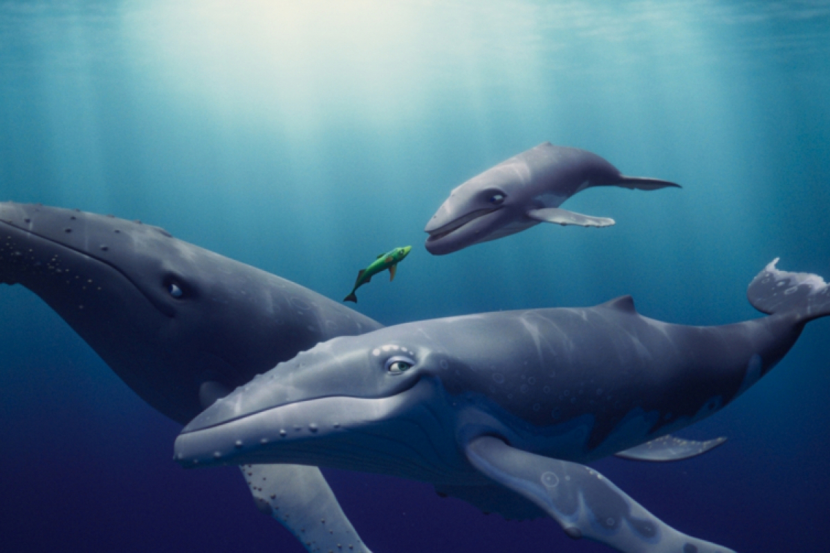 Foto Velrybí píseň