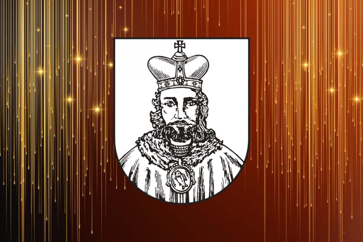 Foto Ples města Milevska 2026