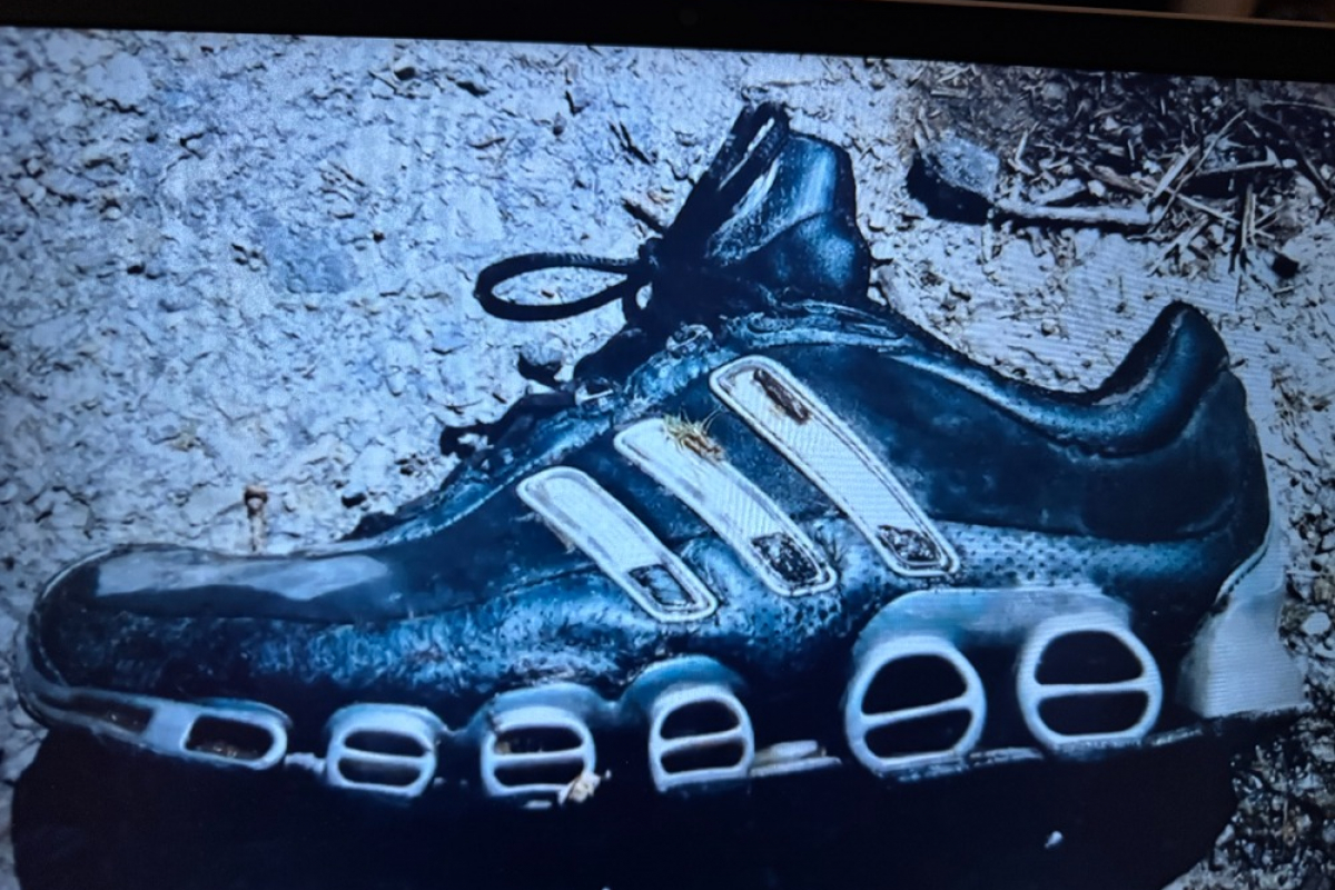 Foto Budějovická mordparta II - Skutečné zločiny z jihu Čech