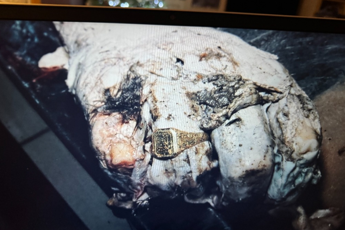 Foto Budějovická mordparta II - Skutečné zločiny z jihu Čech