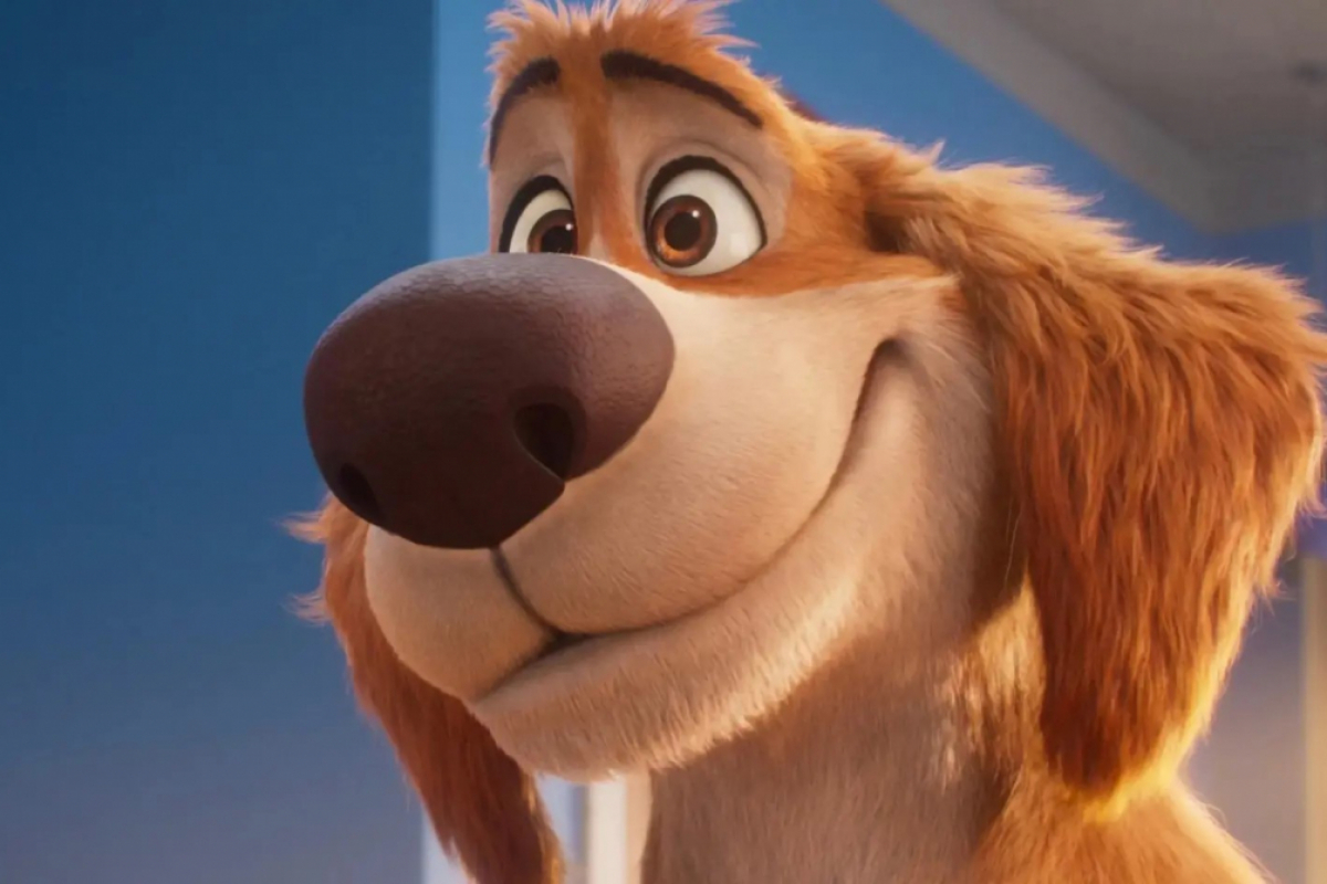 Foto Superpes Karlík