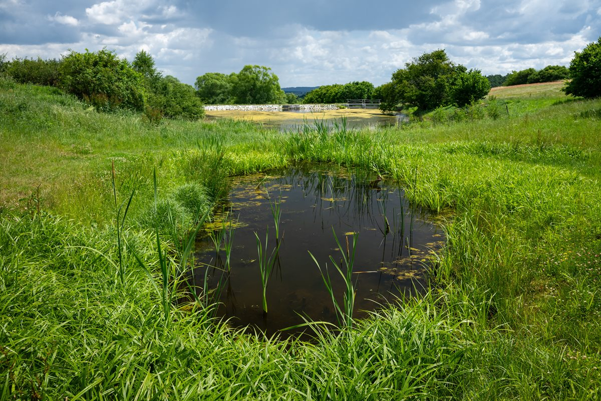 Foto Revitalizované Údolí pod Lipami 