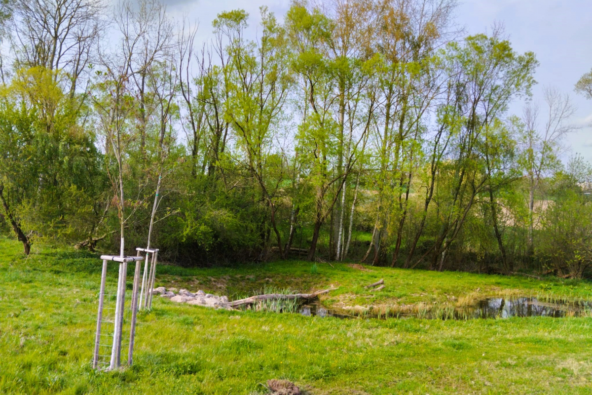 Foto Revitalizované Údolí pod Lipami 