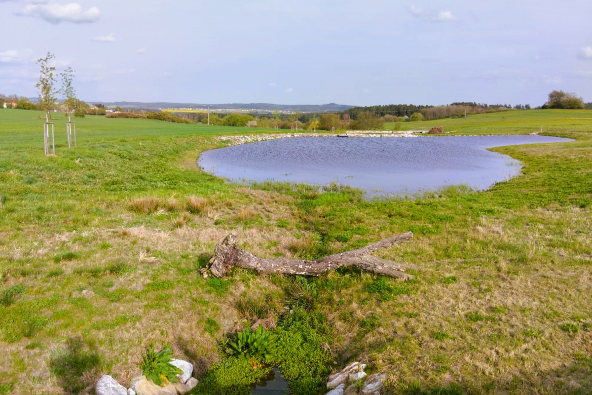 Foto Revitalizované Údolí pod Lipami 
