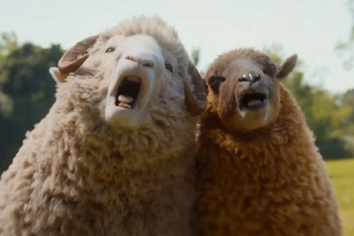 Foto Béé team na stopě