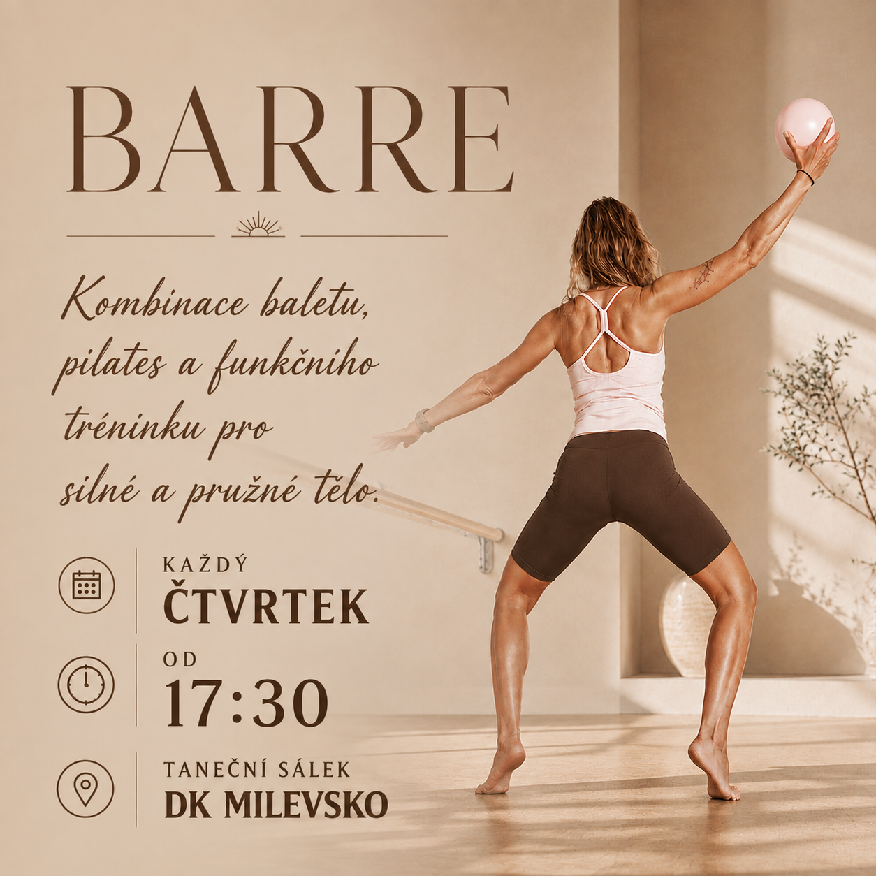 Plakát Barre