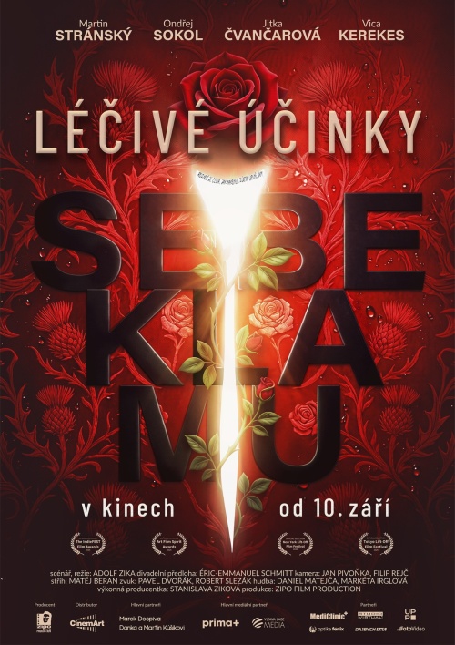 Plakát Léčivé účinky sebeklamu